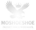 Moshoeshoe Real Estate